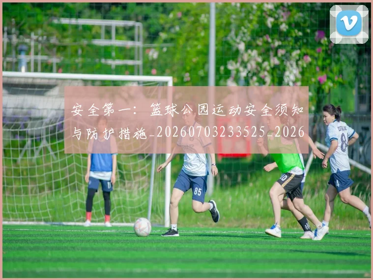 安全第一：篮球公园运动安全须知与防护措施_20260703233525_20260720193347